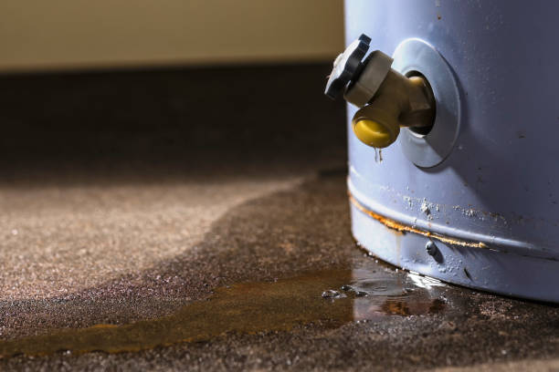 Best Flood restoration services  in Cross Plains, TN