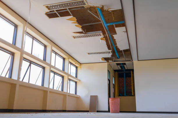 Best Local water damage restoration  in Cross Plains, TN