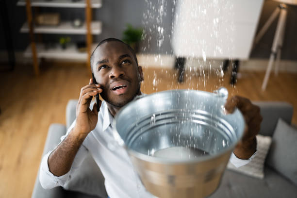 Best Water damage cleanup near me  in Cross Plains, TN