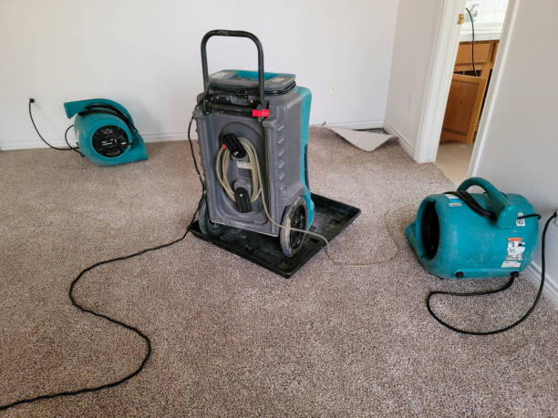 Best Fire Damage Restoration  in Cross Plains, TN