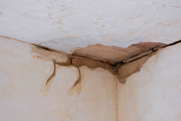 Best Water damage restoration near me  in Cross Plains, TN