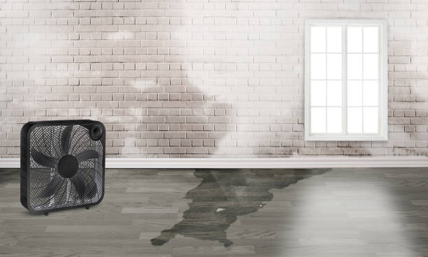 Best 24-hour water damage restoration  in Cross Plains, TN