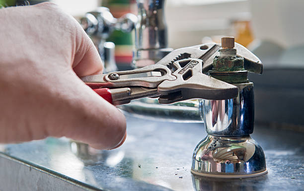 Best Flood damage cleanup  in Cross Plains, TN