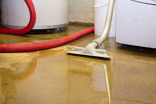 Best Basement water damage restoration  in Cross Plains, TN