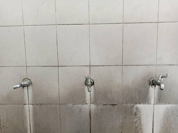 Best Water damage restoration near me  in Cross Plains, TN