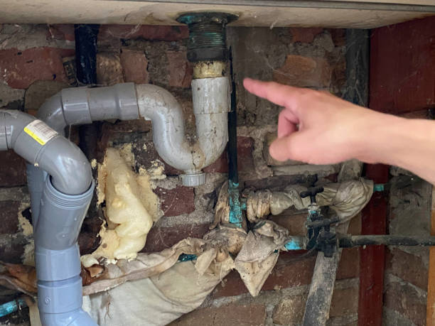 Best Water damage restoration insurance claims  in Cross Plains, TN