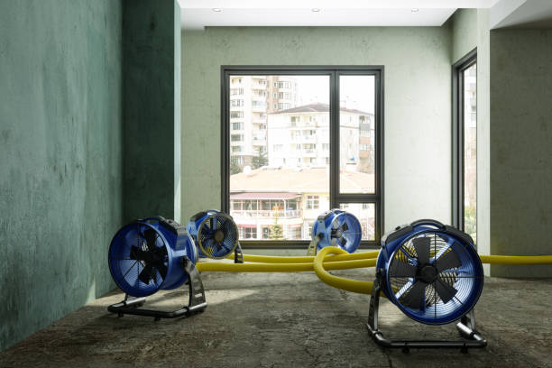 Best Carpet water damage restoration  in Cross Plains, TN