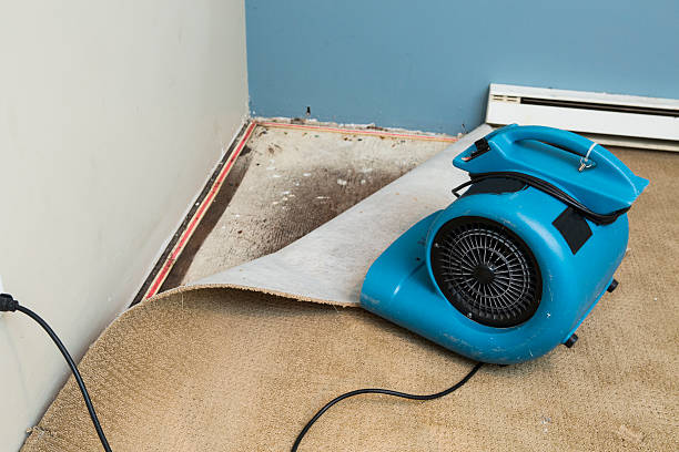 Best Water damage restoration near me  in Cross Plains, TN
